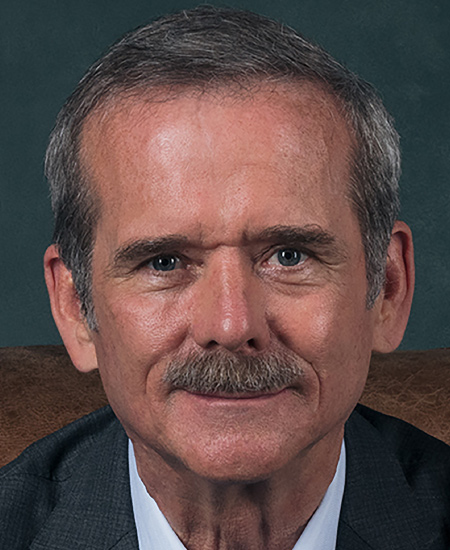 Dr. Hayley Wickenheiser